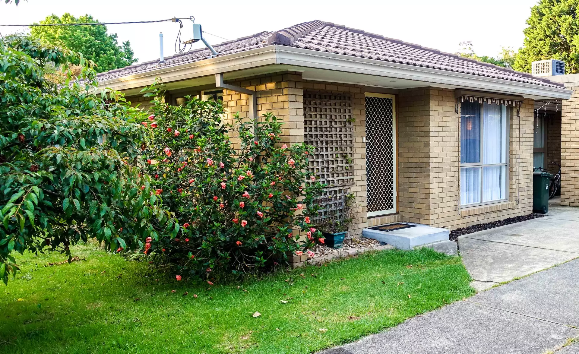 57 Nursery Avenue, Frankston Leased by Abode Peninsula - image 1